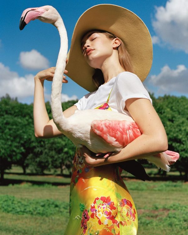 the-agents-club_monday-report-04